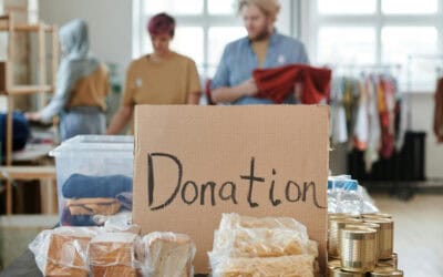 The Power of Websites in the Government and Nonprofit Industry
