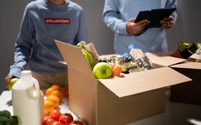 The Power of Websites in the Government and Nonprofit Industry